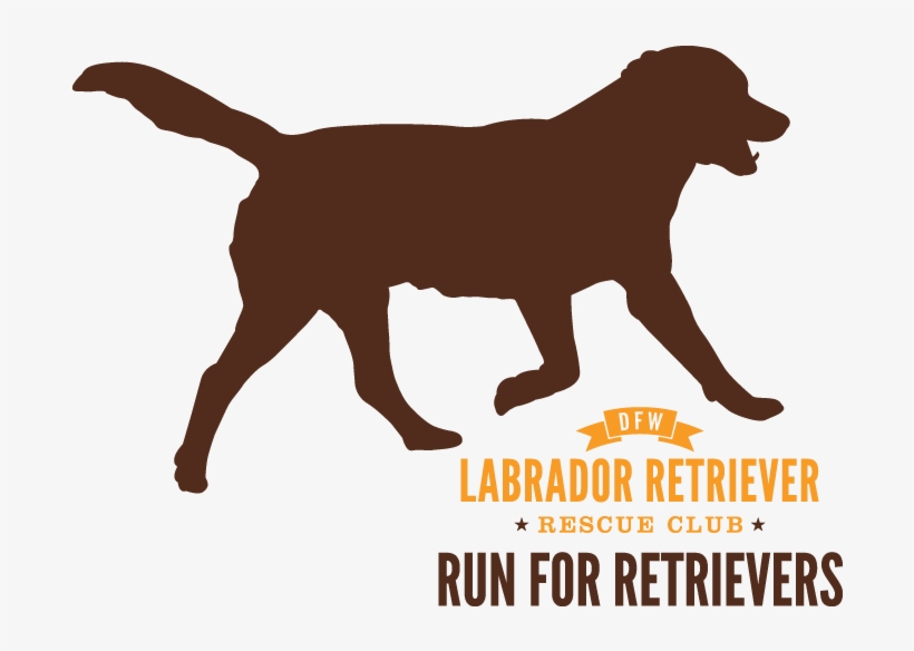 Run For Retrievers Logo - Amazon Dot: Amazon Dot For Beginners: Everything You, transparent png download