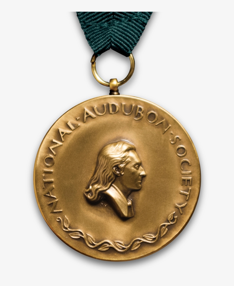 New York The National Audubon Society Presented One - Chain, transparent png download