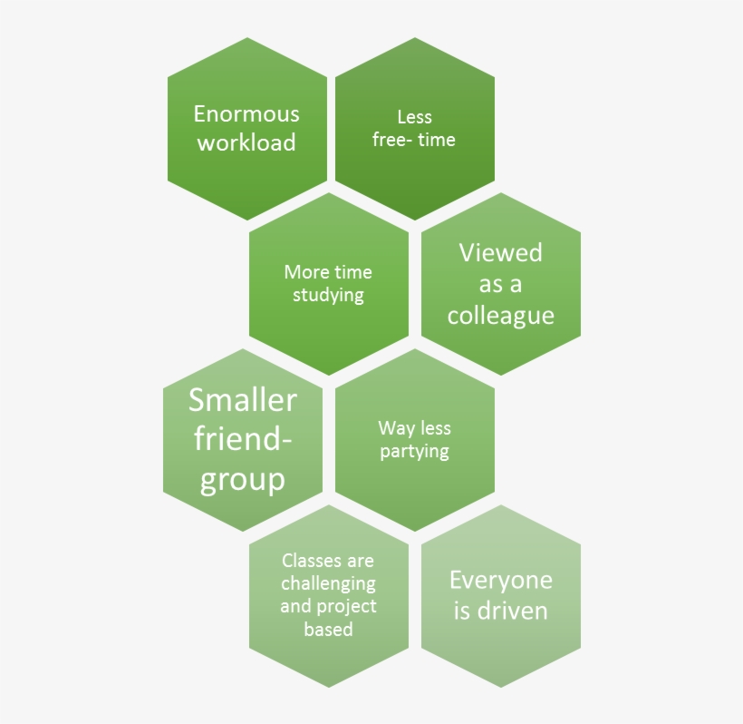 How Is Life And Academics As A Graduate Student Different, transparent png download