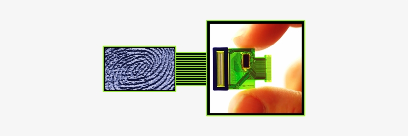 Ultrasound Biometric Technology, Delivering Secure - Sonavation Fingerprint Png, transparent png download