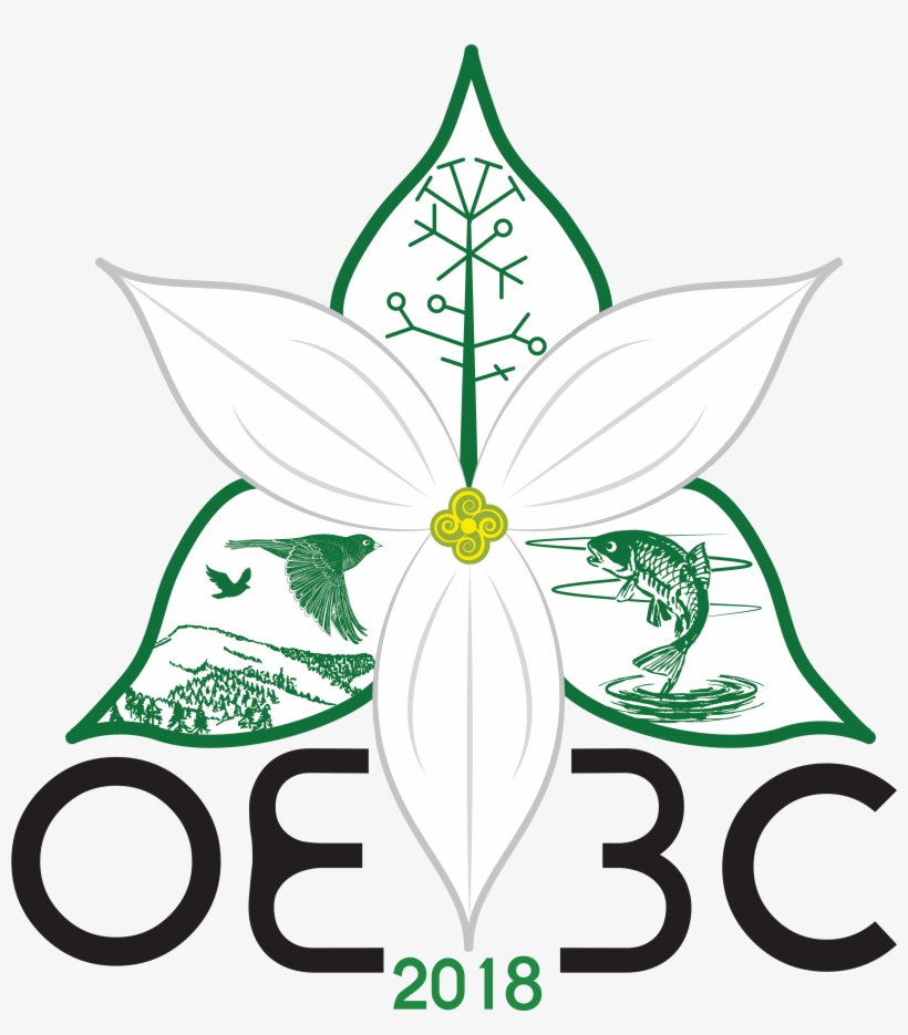 Oe3c Logo - Illustration, transparent png download