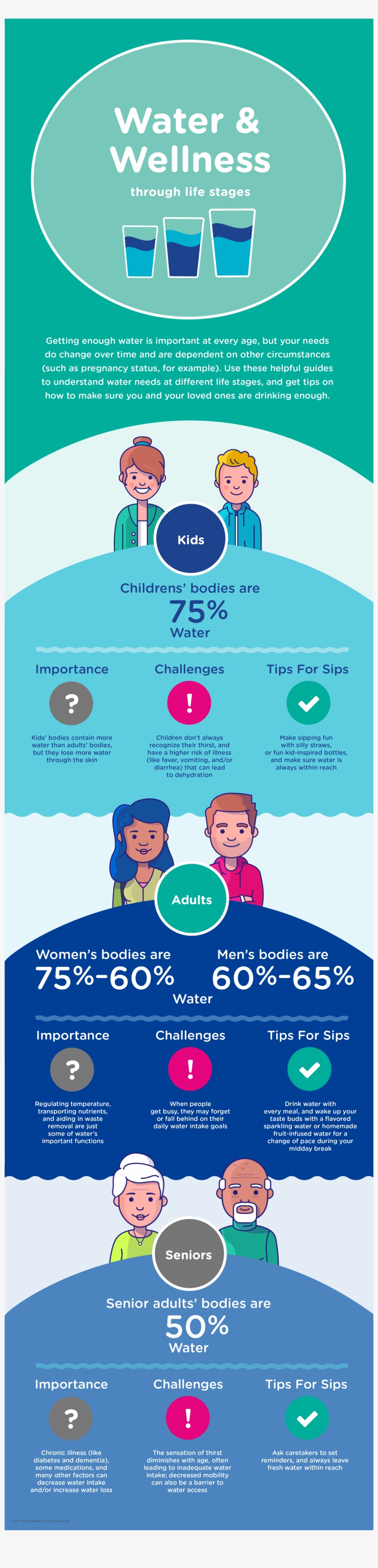 Water Through Life Stages - Poster, transparent png download