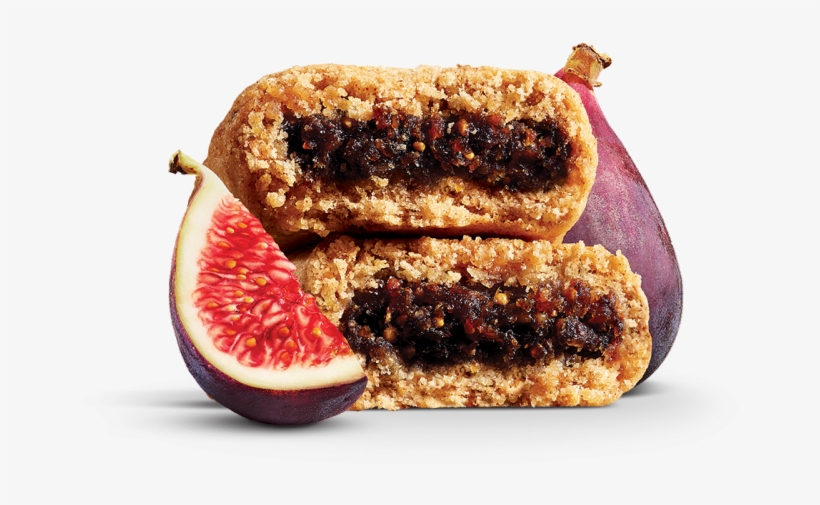 Common Fig, transparent png download