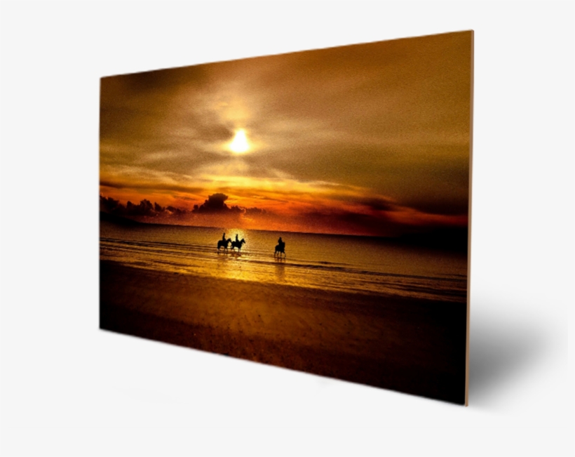 Beach & People With Sunset - Caballos En La Playa Atardecer, transparent png download