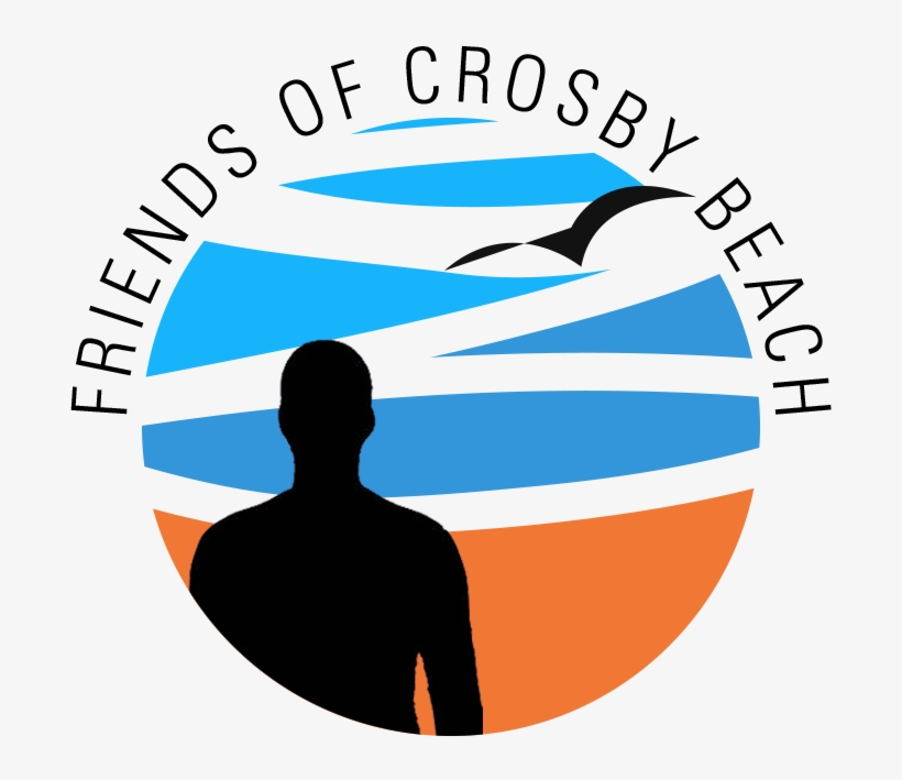 Joanne - Graphic Design, transparent png download