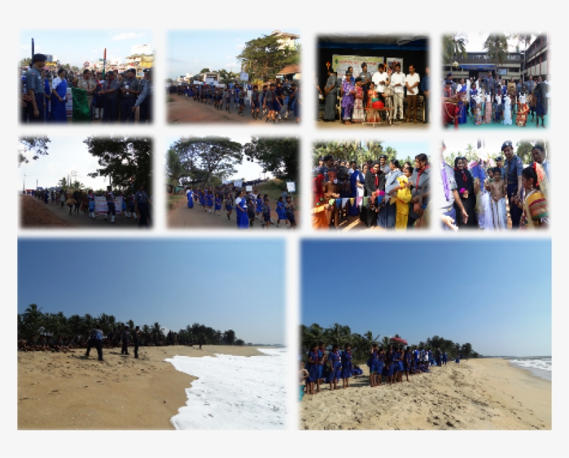 Cubs And Bulbuls Was In Rout March During The State - Beach, transparent png download