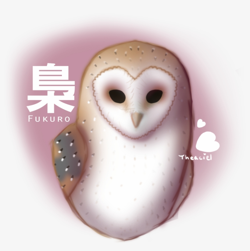 Barn Owl, transparent png download