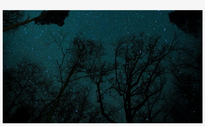 Score 50% - Darkness, transparent png download