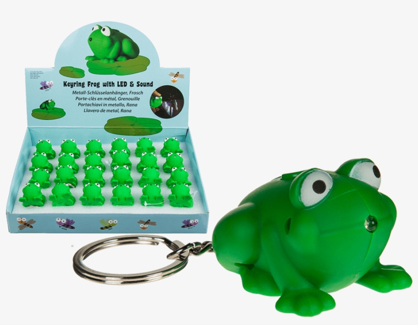 You Are Here - Żaba Gadżet, transparent png download