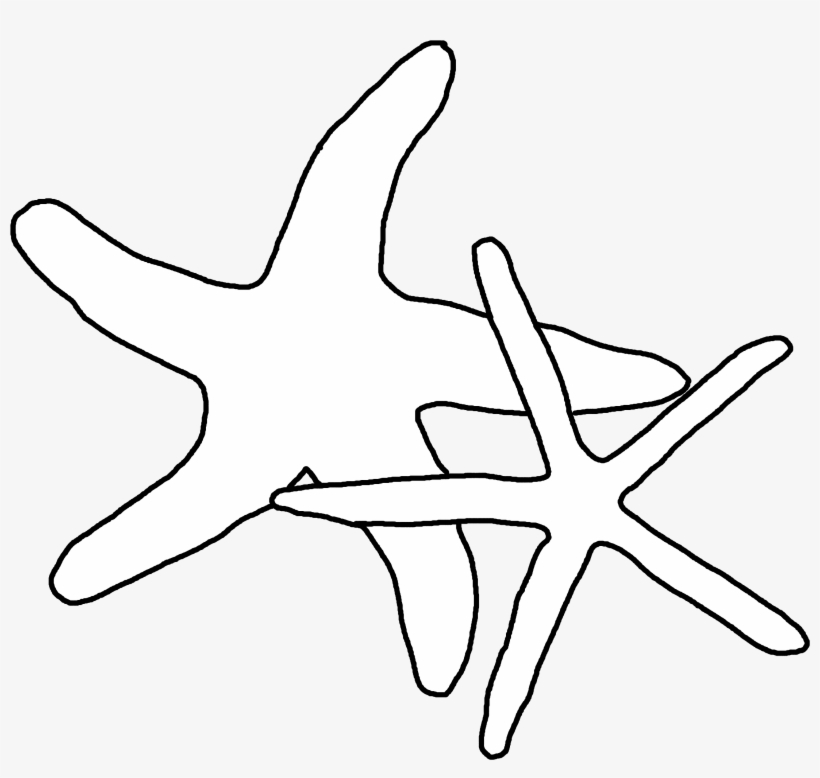 1 Calendar Sea Stars 3,300×2,400 Pixels Stencil Patterns,, transparent png download