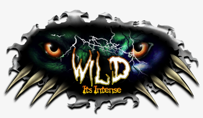 Sunday's Frla Party At The Frog Is Gonna Be Crazy - Wild Truck, transparent png download