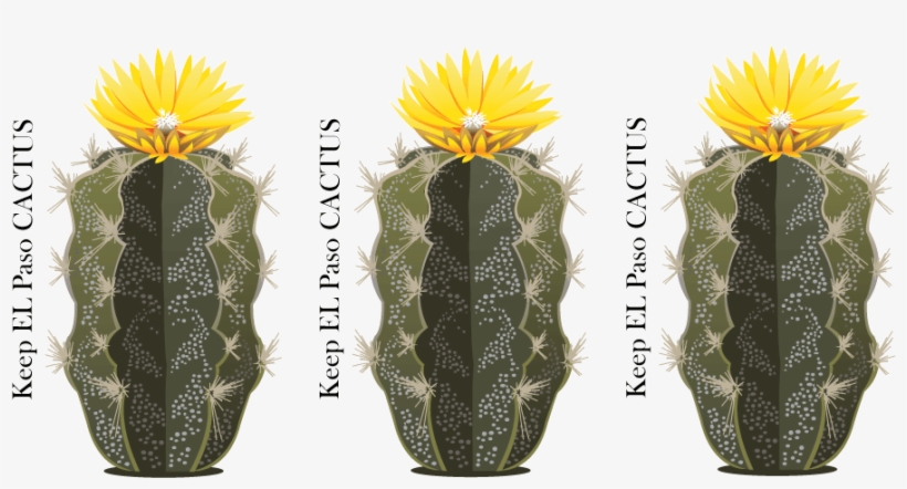 Bold, Playful Vector Design For Drennan Enterprises - Hedgehog Cactus, transparent png download