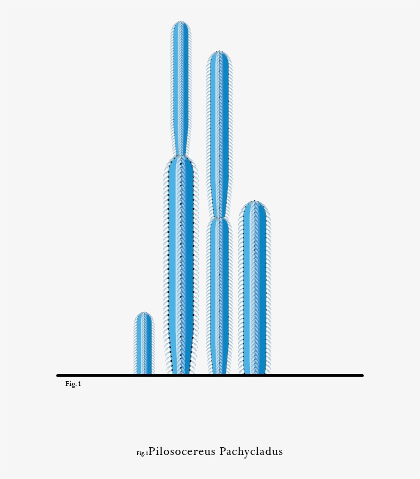 Portrayed In Soft Pastel Colors With Almost Geometrical - Hedgehog Cactus, transparent png download