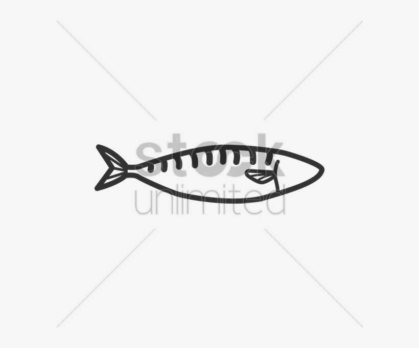 Lebanon Clipart Fish - Pacific Sturgeon, transparent png download