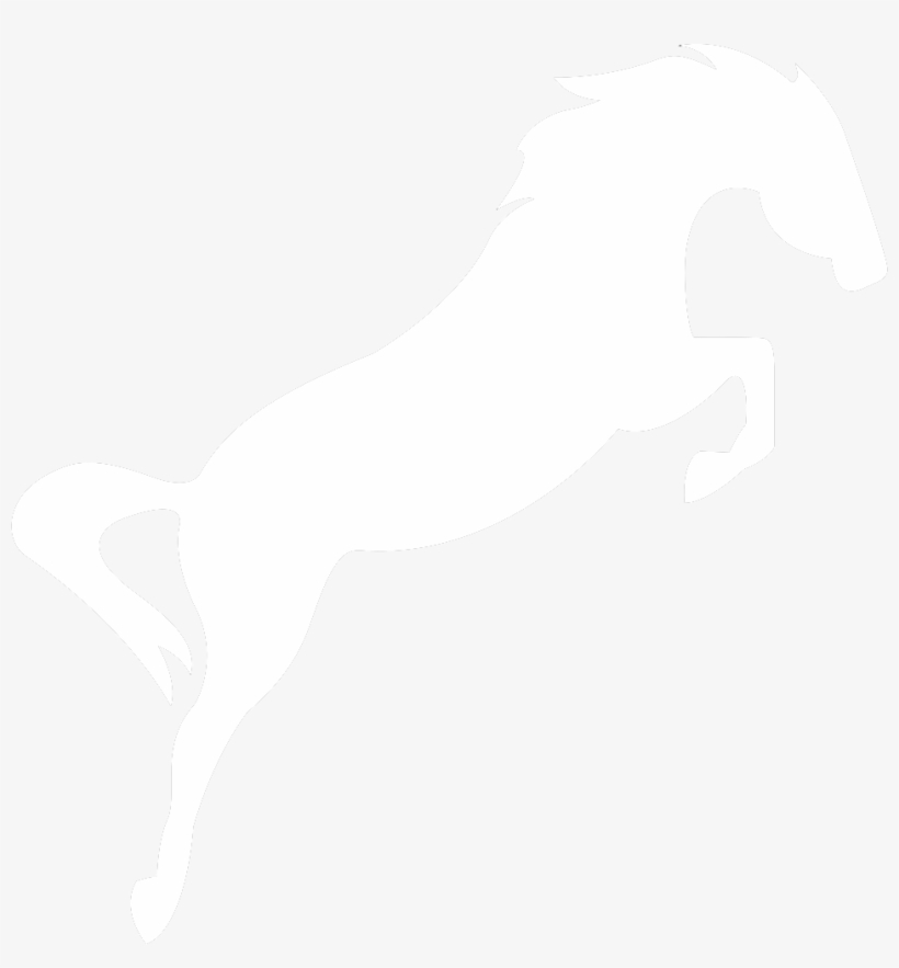 Do You Only Have Horse Racing Tipsters - Stallion, transparent png download