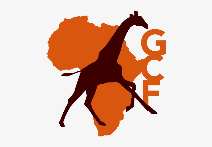 Foundation Date - Giraffe Conservation Foundation, transparent png download