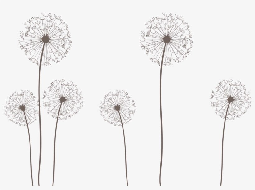 Dandelion Vector Image - Chinese New Year, transparent png download
