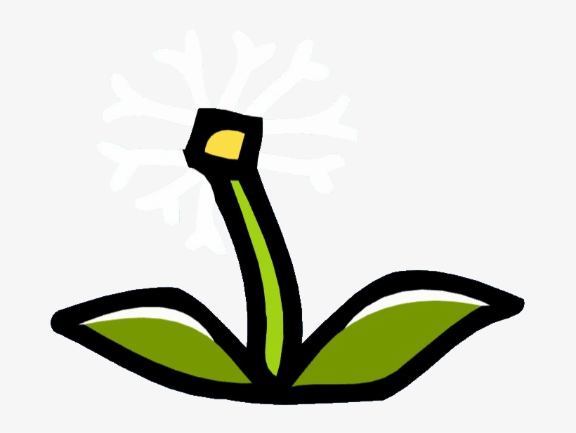 Dandelion, transparent png download