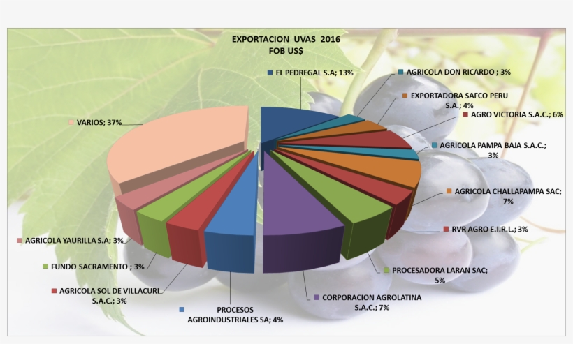 Uvas Frescas Perú Exportación 2016 Septiembre - Exportacion De Uva Peruana 2016, transparent png download
