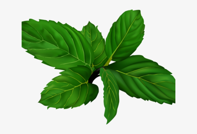 Spices And Herbs Clipart, transparent png download