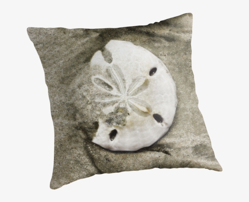 Sand Dollar Png - Cushion, transparent png download
