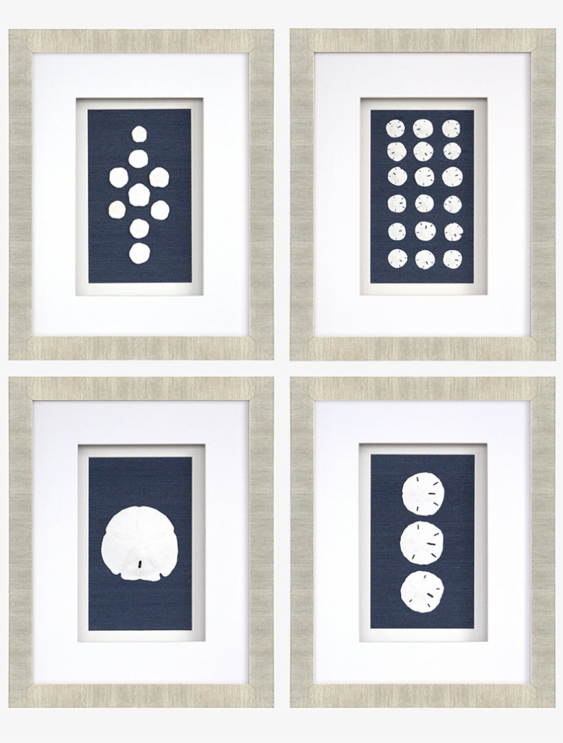 Sand Dollar Pk/4 - Circle, transparent png download