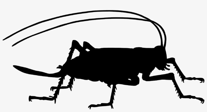 Cricket Farm, transparent png download