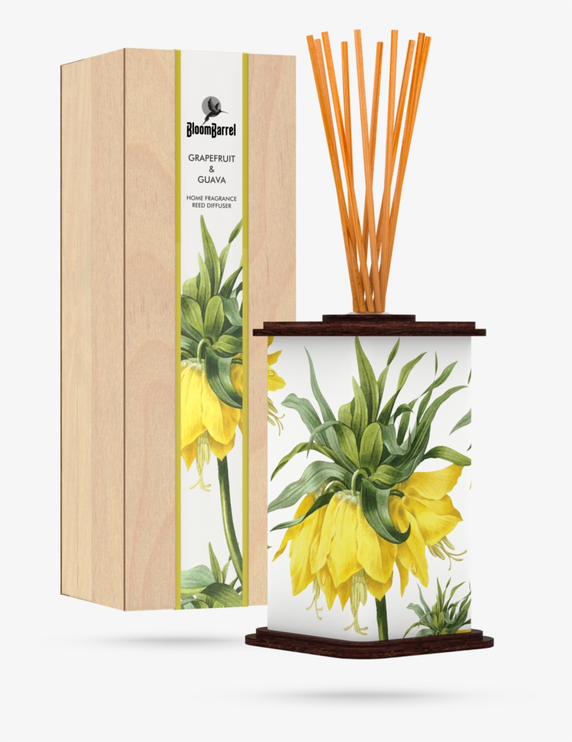 Bloombarrel Home Fragrance Reed Diffuser Grapefruit - Diffuser Water Lily, transparent png download