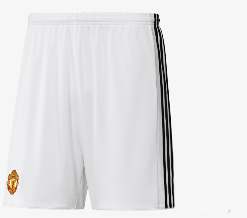 Board Short, transparent png download