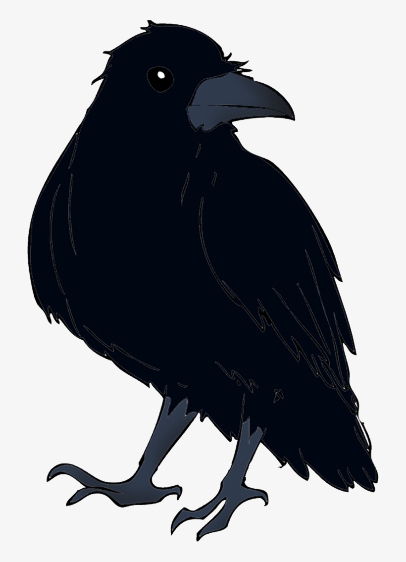 Raven Png - American Crow, transparent png download