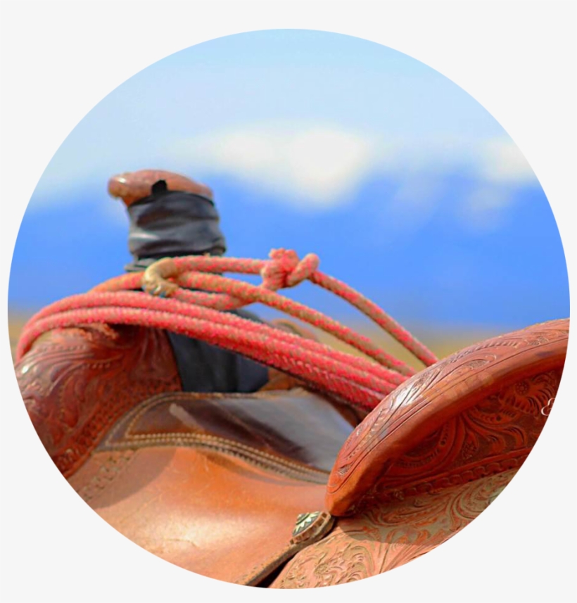 Saddle Circle - Boat, transparent png download