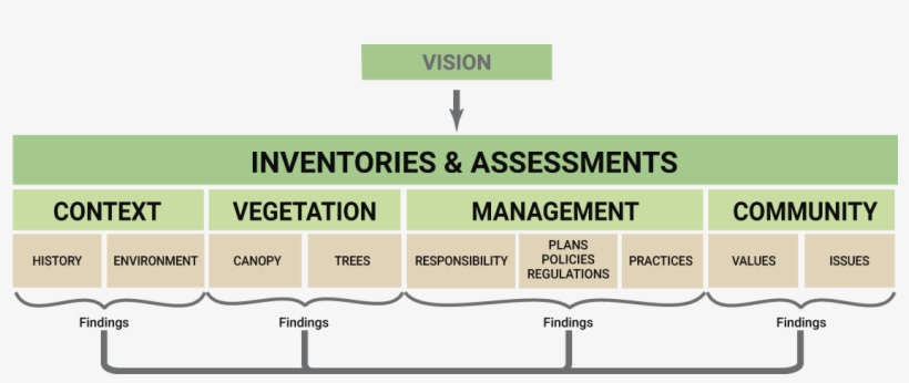 The Information Collected In Inventories And Assessments - Diagram, transparent png download