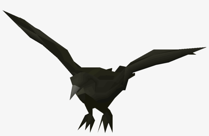 Buzzard, transparent png download