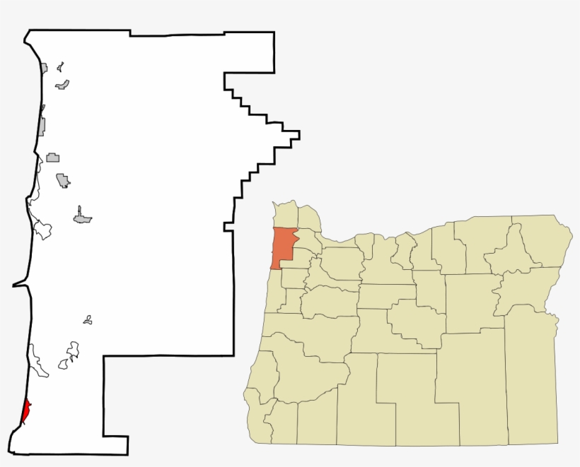 Neskowin Ghost Forest - Tillamook Location, transparent png download