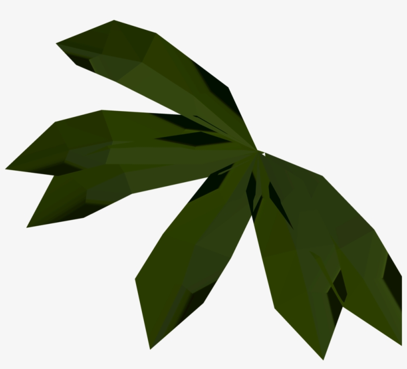 Kelp Is A Plant That Players Can Find Growing Underwater - Illustration, transparent png download