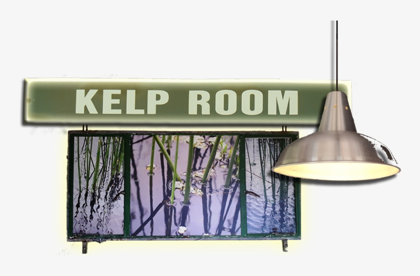 Kelp Room Title - Billboard, transparent png download