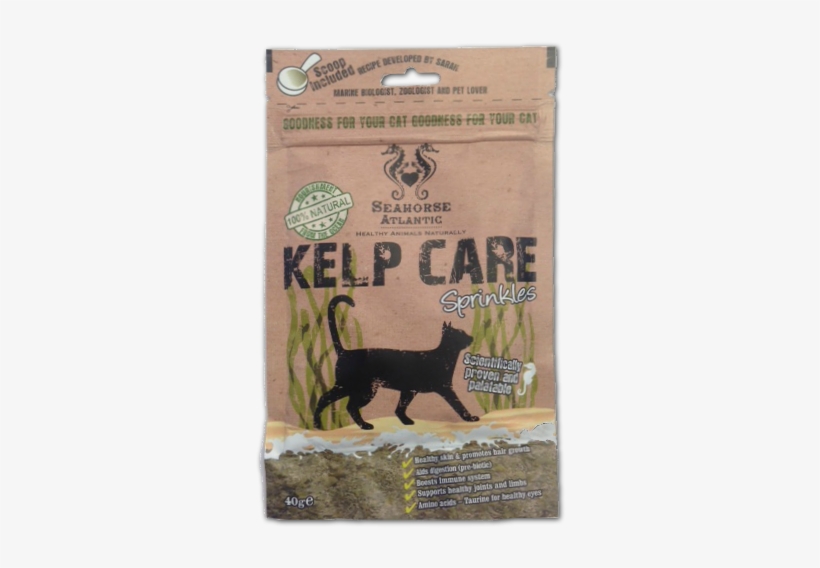 Kelp - Black Cat, transparent png download