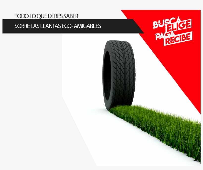 Llantas Eco Amigables - Artificial Turf, transparent png download