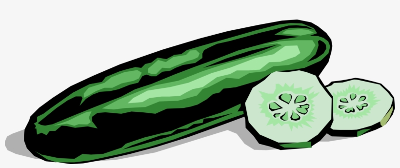 Vector Illustration Of Culinary Edible Vegetable Cucumber - Cucumber Clipart, transparent png download