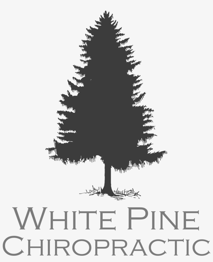 Washington State Pine Tree, transparent png download