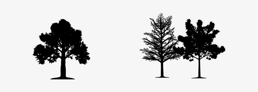 A Step Above The Rest - United States Green Chamber Of Commerce, transparent png download