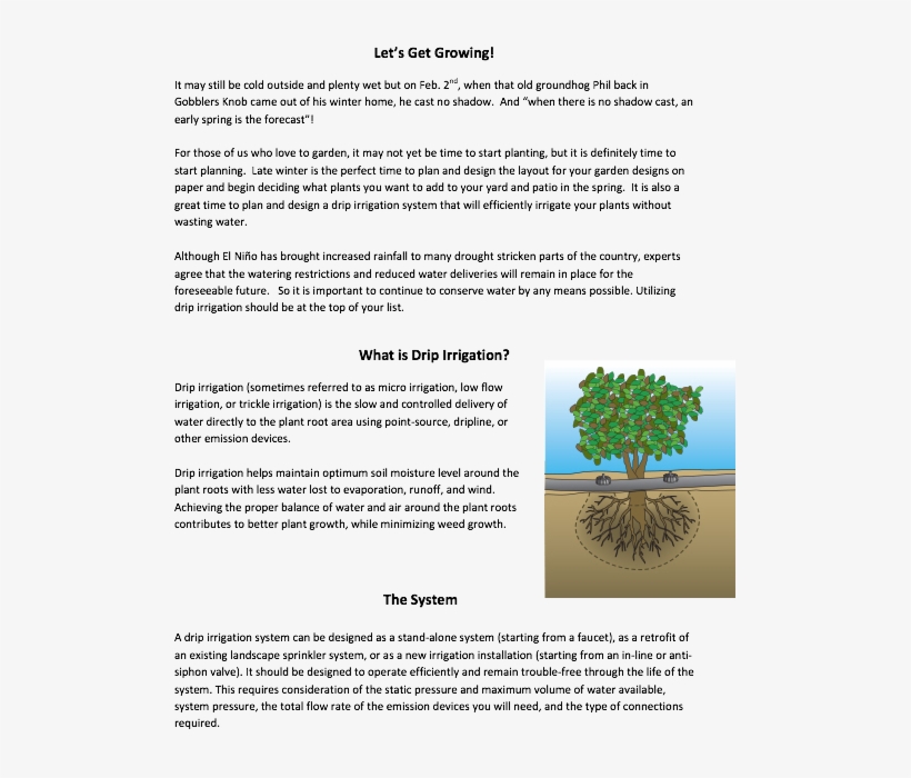 Intro To Drip Irrigation - Tree, transparent png download