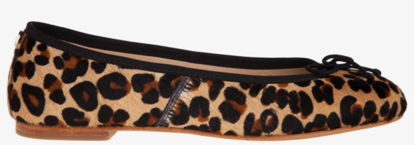 Join Josefinas' Newsletter - Ballet Flat, transparent png download