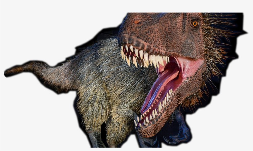 Dinosaurs, transparent png download