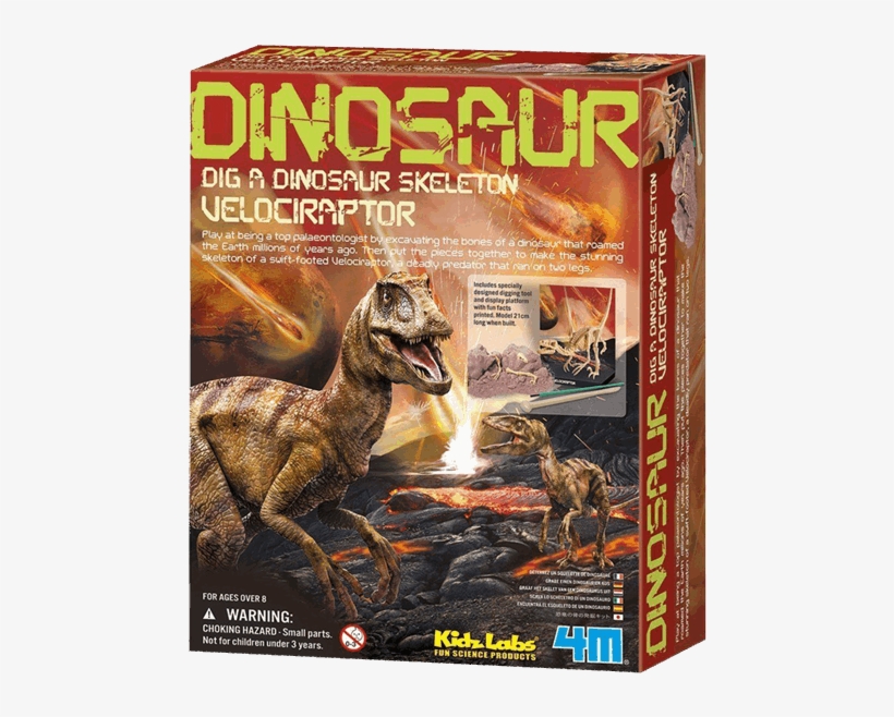 Dinosaur Dig A Dinosaur Skeleton Velociraptor, transparent png download