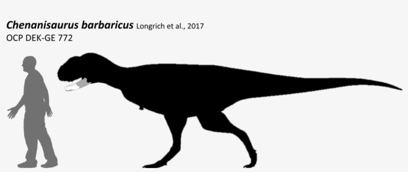 Chenanisaurus Barbaricus By Lythronax-argestes Watch - Chenanisaurus Barbaricus, transparent png download