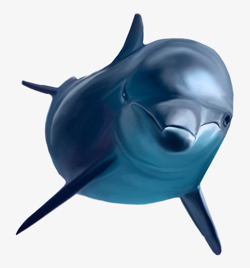 Cartoon Killer Whale Clip Art, transparent png download