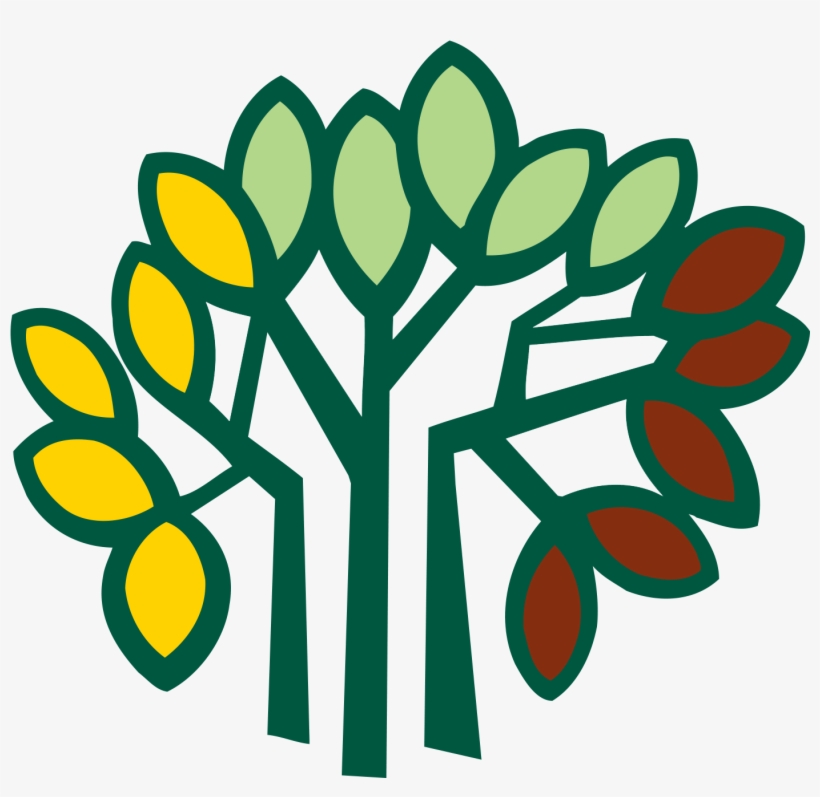 At Mcginnis Woods Country Day School - Kalpataru, transparent png download