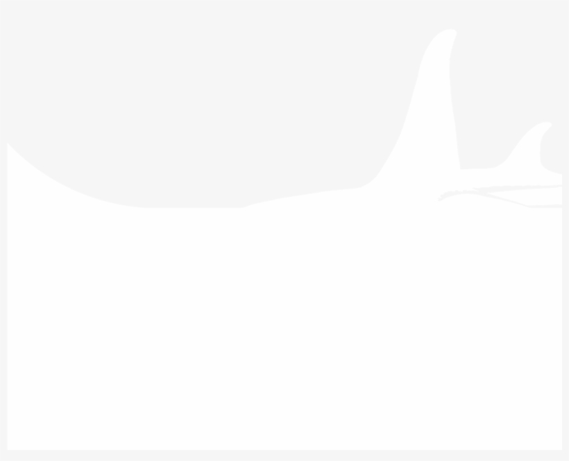 Capturing The Inspiring Journey Of Extraordinary People - Airplane, transparent png download