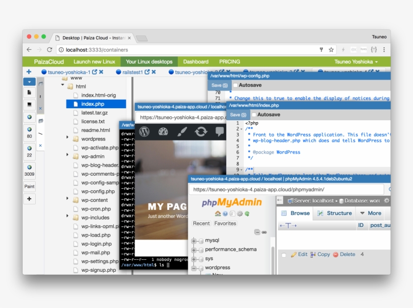 Image - Paiza Cloud Vs, transparent png download